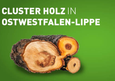 Clustermanagement Holz in OWL